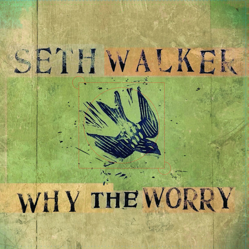 seth walker why the worry